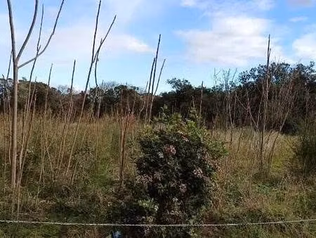 terrain constructible à vendre