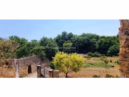 plein soleil immo