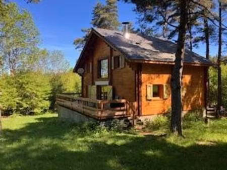dupin immobilier