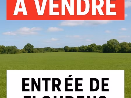 vente terrain 11 500 m²