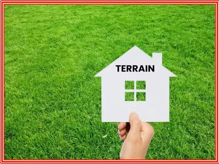 terrain
