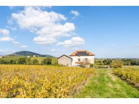 charmante maison au coeur des vignobles du beaujolais vert