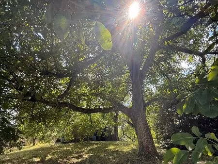 terrain 1271 m² attigny