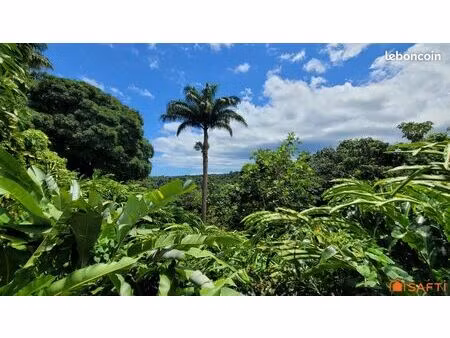 local 700 m² petit-bourg