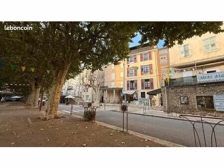 maison en viager 12 pièces 327 m²