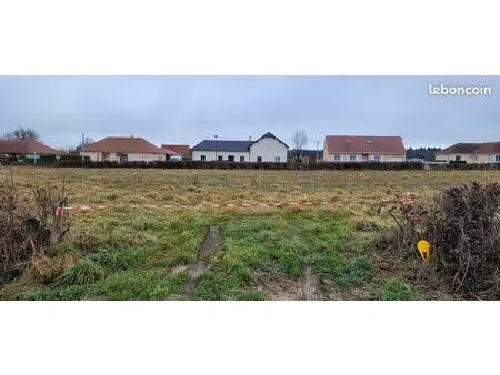 terrain constructible