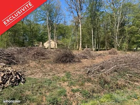 terrain 1982 m² st fargeau