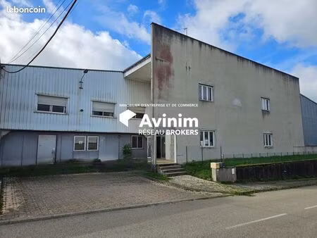 local 3000 m² domsure