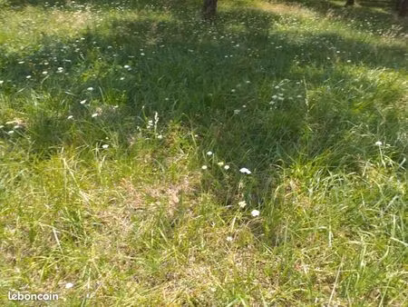 terrain 696 m² espiet