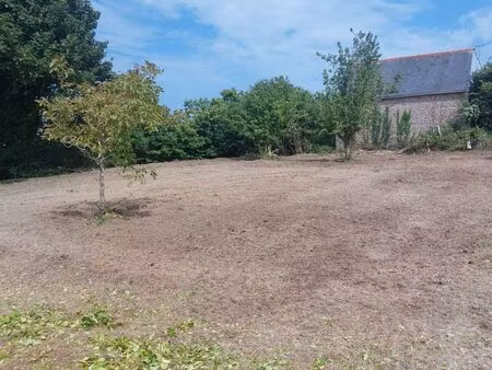 terrain constructible