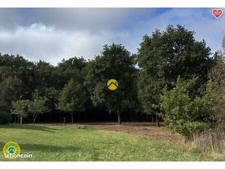 terrain 2 218 m² la guerche sur l aubois