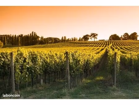 terrain 884 m² salleboeuf