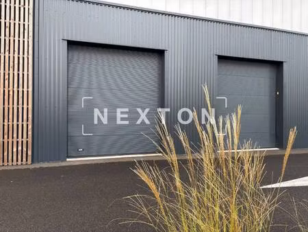 nexton immobilier