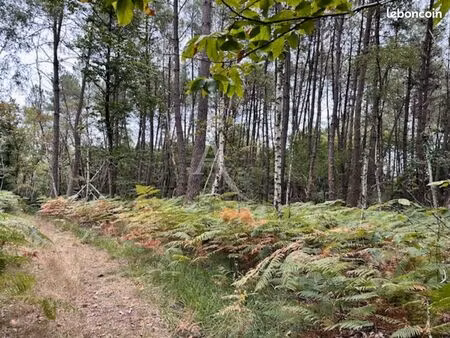 terrain 1979 m² la breille les pins