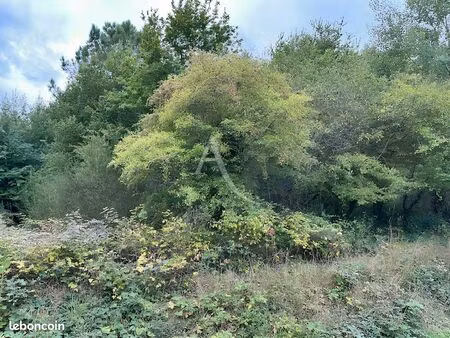 terrain 5000 m² la breille les pins