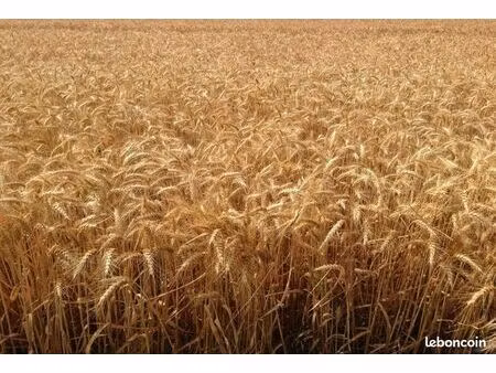 bien agricole levroux