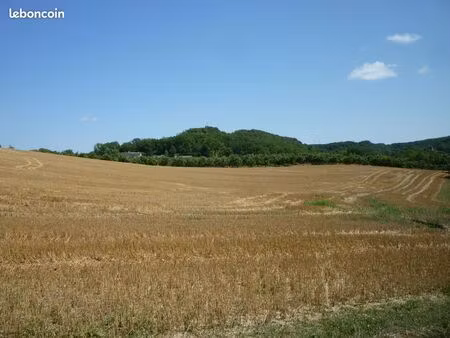 terrain 80000 m² dausse