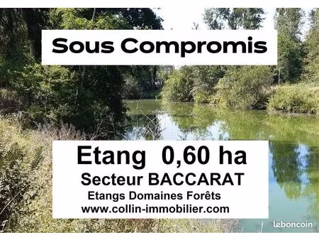 terrain 6000 m² baccarat