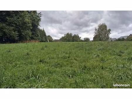 terrain constructible