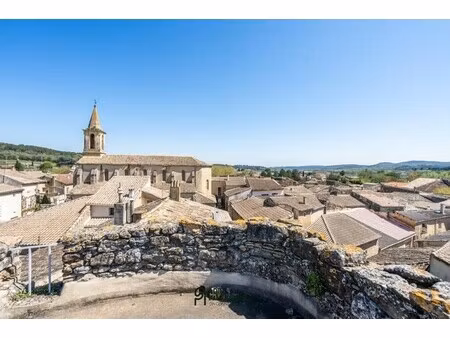 château à vendre à cavillargues