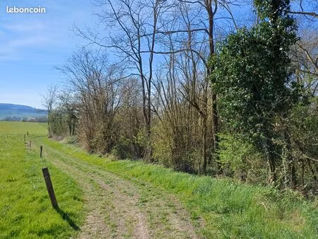 terrain de loisirs boisé avec petite ruine