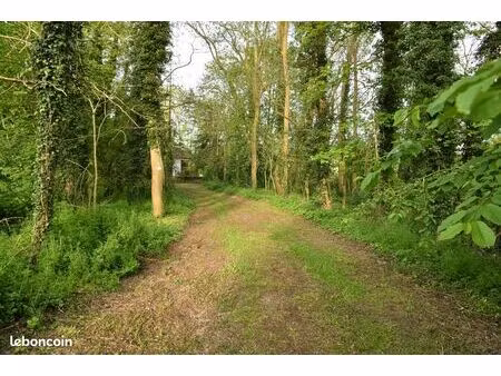 a vendre - terrain à bâtir de 58 ares  boisé et sans vis-à-vis