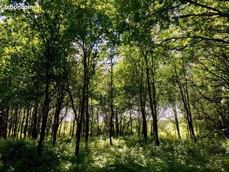 terrain 19383 m2 dont 4683 m2 constructibles enclavés