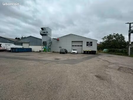 local d'activité 540 m²