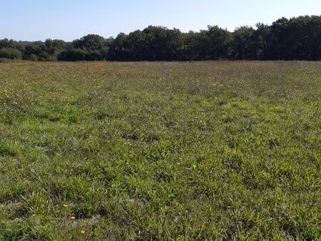 terrain à bâtir labastide d'armagnac (40240)