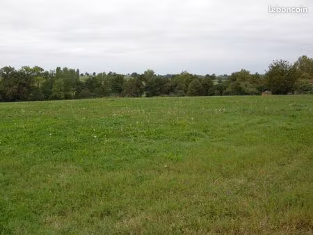 terrain constructible