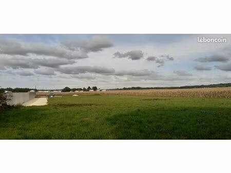 terrain constructible de 1000 m² à bords