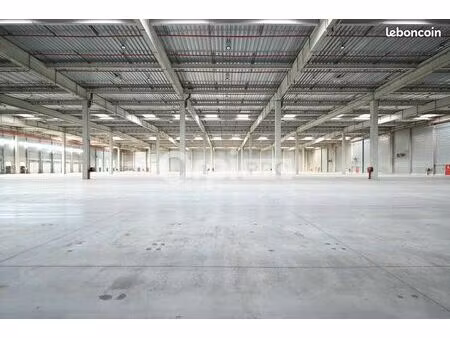 local logistique 22 513 m²