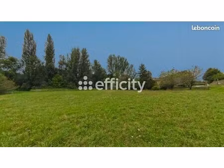 terrain 2 923 m² montaigu de quercy