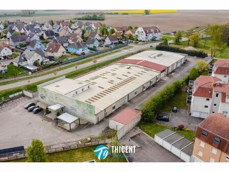 local d'activité 3140 m2 - soufflenheim