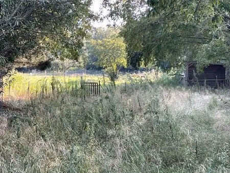 terrain agricole chevaux