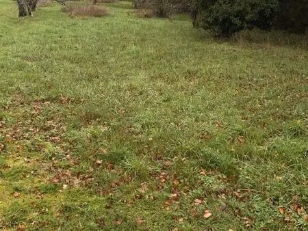 vente terrain constructible