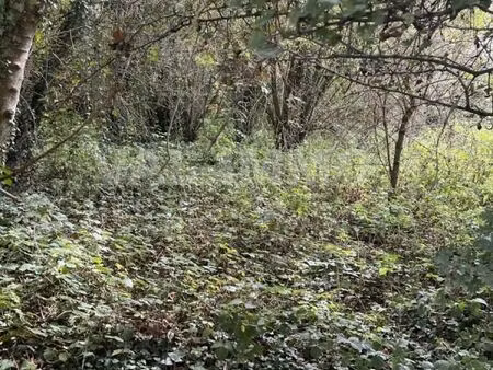 terrain 4 469 m² fechain