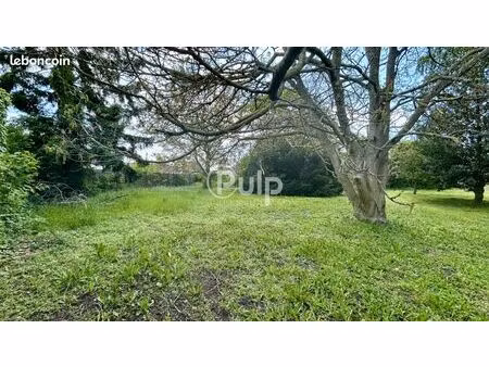 terrain 702 m² ostricourt