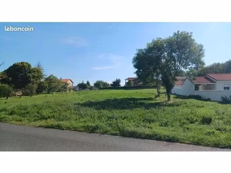 terrain constructible