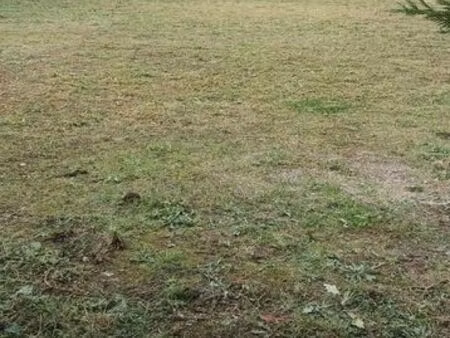 terrain à bâtir à vendre