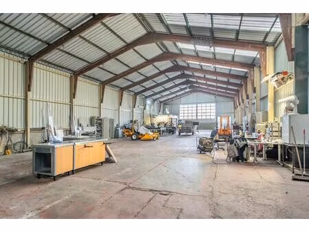 surface industrielle à louer à helchteren (rbu40435)