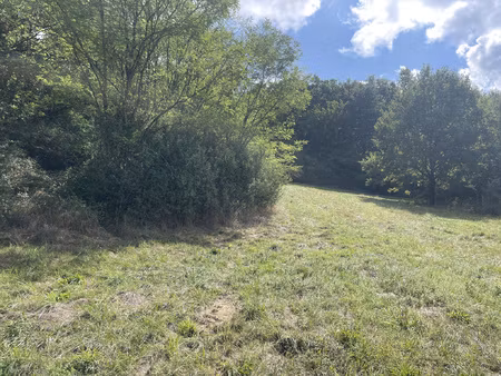 terrain une partie constructible avec terrain boisé.