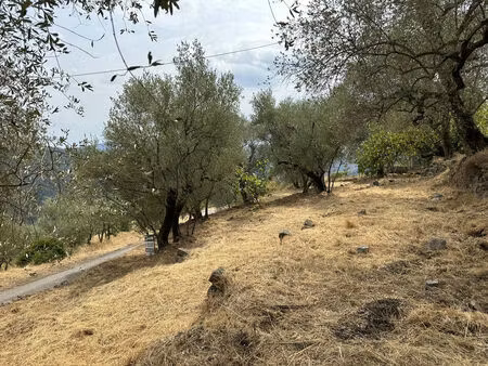 vente terrain 961 m² utelle (06450)