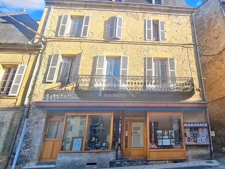 immeuble avec bail commercial et locations saisonnières  bourbon