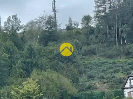 vente maison 1 pièce pierrefort (15230)