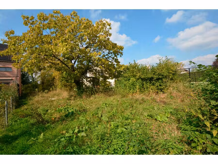 grond te koop in oelegem