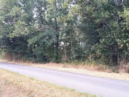 saint-médard-de-guizières (33230)