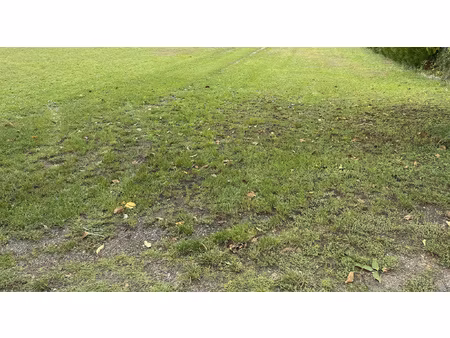 achat terrain 1 015m² clery st andre 45370