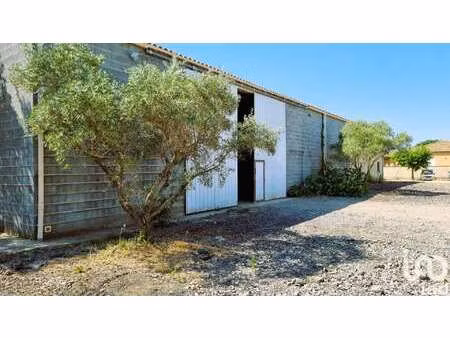 vente maison à puissalicon (34480) : à vendre / 360m² puissalicon