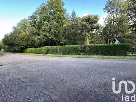 vente terrain à saint-hilaire-les-andrésis (45320) : à vendre / 3185m² saint-hilaire-les-a